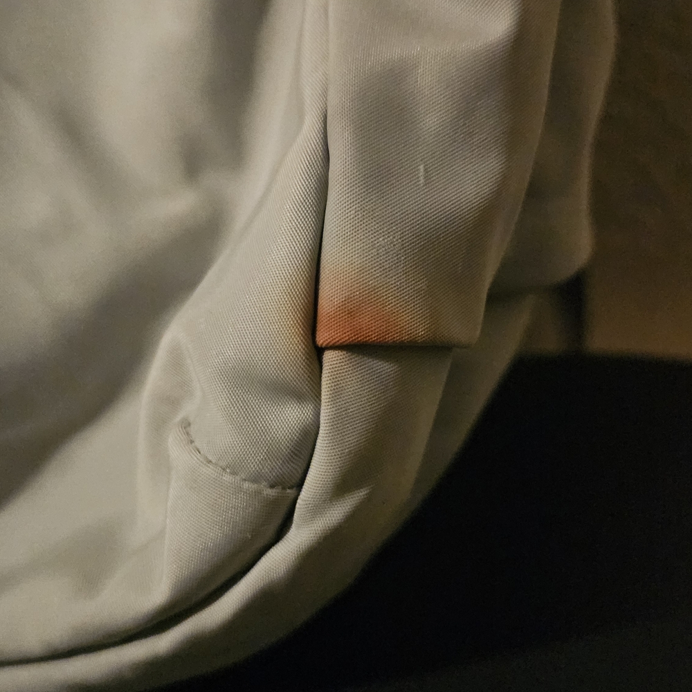 Lulelemon Everyday Backpack - image 2